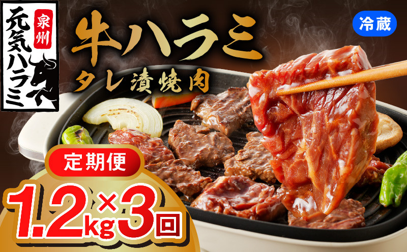 
            【冷蔵配送】牛ハラミ肉 焼肉用 味付け 定期便 1.2kg（300g×4P）×全3回【毎月配送コース お楽しみ 焼肉 ていきびん 小分け 味付け 焼くだけ 小分け BBQ やきにく 数量限定】
          