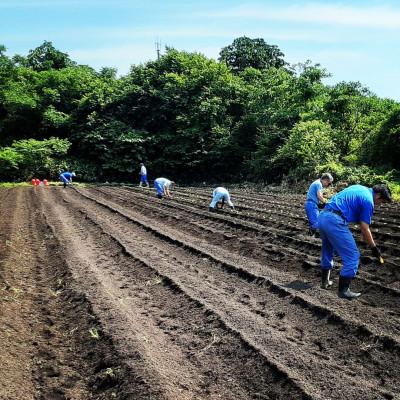 ふるさと納税 大仙市 えごま油「翡翠」(ひすい)　大仙市協和産 |  | 02