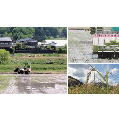 ふるさと納税 与謝野町 【先行受付】令和8年新米　数量限定　京都与謝野町産コシヒカリ「京の豆っこ米」玄米10kg×2袋 |  | 02
