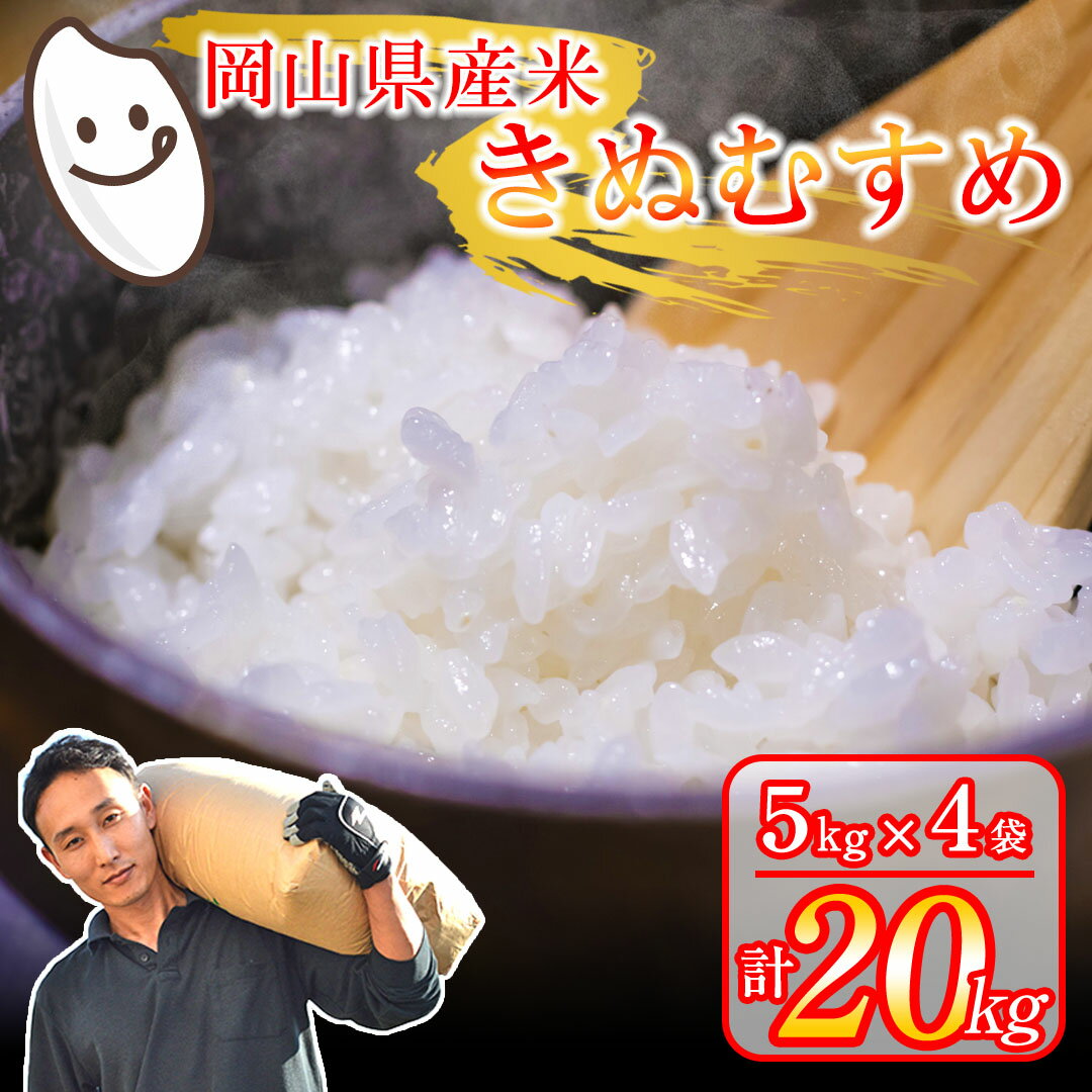 【ふるさと納税】特A 20kg 令和6年産 岡山県産米 きぬむすめ 5kg×4袋 関連キーワード 15kg 10kg 5kg 新米予約 白米 分付き米 美味しいお米 訳あり わけあり
