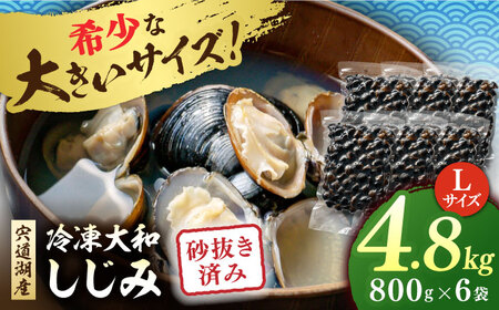 しじみ 砂抜き済 Lサイズ800g×6袋(4.8kg) 島根県松江市/しじみ市場株式会社[ALDK003] しじみ しじみ しじみ しじみ 冷凍 冷凍 冷凍 冷凍 冷凍