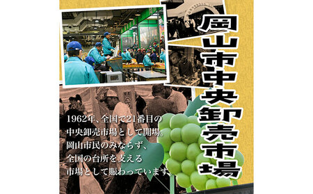 [2024年先行予約]詰合 白桃 1玉220g以上 2玉・ニューピオーネ 1房480g以上 2房 化粧箱入り 株式会社山博(中本青果)《7月下旬-8中旬頃出荷》岡山県 浅口市 ぶどう フルーツ ギフト