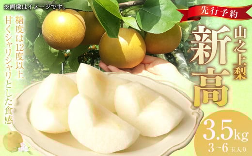 《先行予約》｢丸坂山田農園｣ 山之上梨 新高 1箱 （約3.5kg／3～6玉）【2025年9月上旬～9月下旬 発送予定】│ 梨 果物 フルーツ 冷蔵 岐阜県産 国産 岐阜県 美濃加茂市