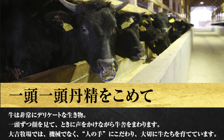 近江牛 定期便 3回 焼肉 三昧コース