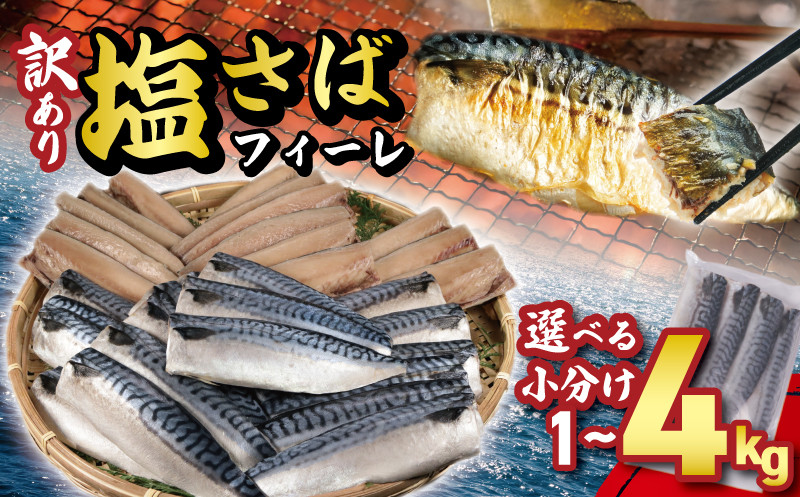
            訳あり 塩サバフィーレ 選べる容量 約1kg 約2kg 約3kg 約4kg ノルウェー産 冷凍 ｻﾊﾞ 鯖 塩サバ 塩鯖 海鮮 魚 大容量 規格外 不揃い 青魚 おかず 惣菜 魚介 おつまみ 弁当 人気 冷凍食品 グルメ 贈答 贈物 ギフト 長期保存 小分け お取り寄せ BBQ ふるさと納税 ふるさと納税サバ 送料無料 千葉県 銚子市 大一奈村魚問屋
          