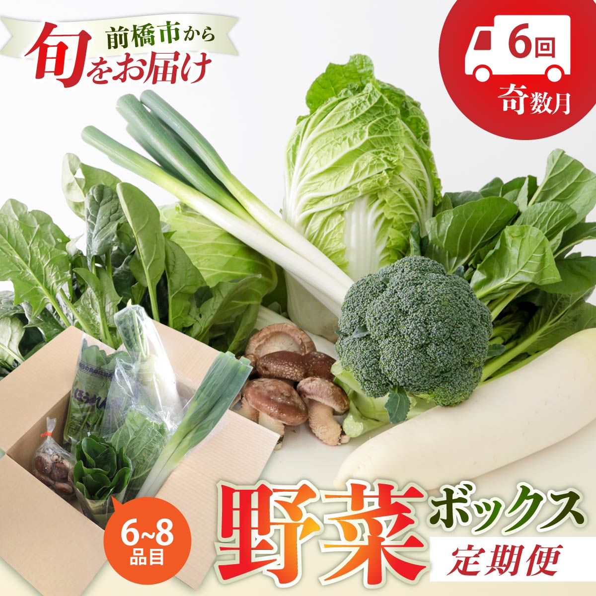 【ふるさと納税】季節の野菜 詰め合わせセット 定期便（奇数月）年6回 | 野菜セット 新鮮 旬野菜 朝どれ 農家直送 旬 野菜 鮮度 赤城山麓 群馬野菜 国産野菜 詰め合わせ 野菜詰合せ おまかせ野菜 野菜便 お取り寄せ 産直野菜 群馬県 前橋市
