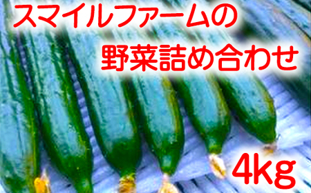 朝採りきゆうり4kg【FM01W1】 野菜 新鮮