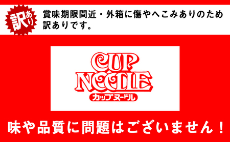 【ふるなび限定】【訳あり】日清 カレーヌードル★1箱（20食入） 麺類 ラーメン 即席麺 麺類 カップメン カップ麺 インスタント 麺類 カップラーメン FN-Limited