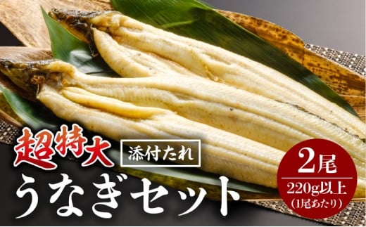 《2026年2月発送予定》うなぎ白焼(超特大サイズ) 2尾_M069-023-feb