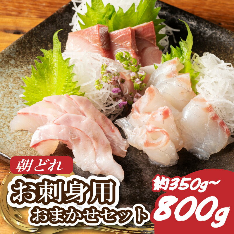 【ふるさと納税】 お刺身 国産 おまかせ セット 2～3種 約350g~800g 盛り合わせ 刺身 刺し身 刺身用 冷蔵 晩酌 鯛 タイ 鰤 ブリ 鮪 マグロ 平昌 ヒラマサ 勘八 カンパチ シマアジ ヒラメ 新鮮 魚 魚介 海鮮 産地直送 朝どれ 海鮮丼 城水産 三重県 南伊勢町 伊勢 志摩