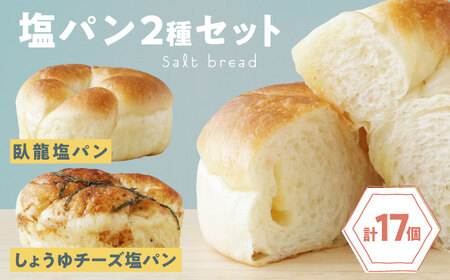パン【冷凍】大洲の塩パン 2種 計17個セット パン[AGAY057]