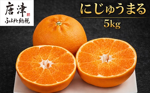 
                  『先行予約』【令和8年3月上旬より順次発送】◎にじゅうまる◎ 5kg 佐賀県産【高級柑橘みかん】果物フルーツ 柑橘
                