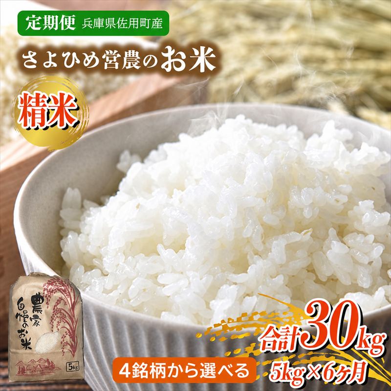 【ふるさと納税】【6ヵ月定期便】5kg×6ヵ月 計30kg さよひめ営農のお米 4銘柄から選べる 精米 てんこもり キヌムスメ キヌヒカリ コシヒカリ兵庫県佐用町産 お米