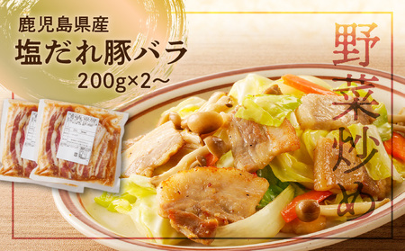 【ナンチクファクトリー】鹿児島県産豚肉味付け3種(21食) K073-010_03 肉 豚肉 惣菜 総菜 冷凍