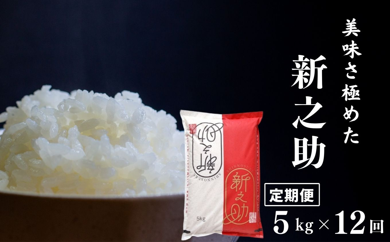 
                  令和8年産新米【定期便】美味さ極めた「新之助」5kg×12ヶ月 計60kg 米・食味鑑定士お墨付き 新潟県糸魚川産 2026年産 しんのすけ 白米 ギフト コシヒカリに代わる新潟県の新しいブランド米 農家直送 東山ファーム【おにぎり お弁当 におすすめ 米 コメ こめ お米 ご飯 ライス ふるさと納税米 毎月お届け 12ヶ月 12か月 12カ月 5キロ 精米 食品】
                