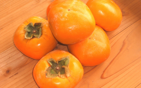 【R6年10月以降発送】刀根早生柿発祥の地・天理市のひらたねなし柿(L～3Lサイズ、28～36個)【配送不可地域：離島】【1070571】