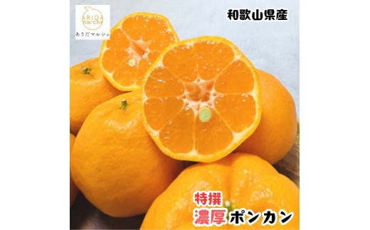 
                  ［先行予約］極甘 柑橘 特選 濃厚 ポンカン 1.5kg［MS48］
                