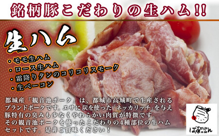 【父の日】「観音池ポーク」4種部位の生ハム950gセット≪6月18日～21日お届け≫_MJ-1505-FG_(都城市) モモ生ハム ロース生ハム 霜降りタンのコリコリスモーク 生ベーコン ブランド豚の