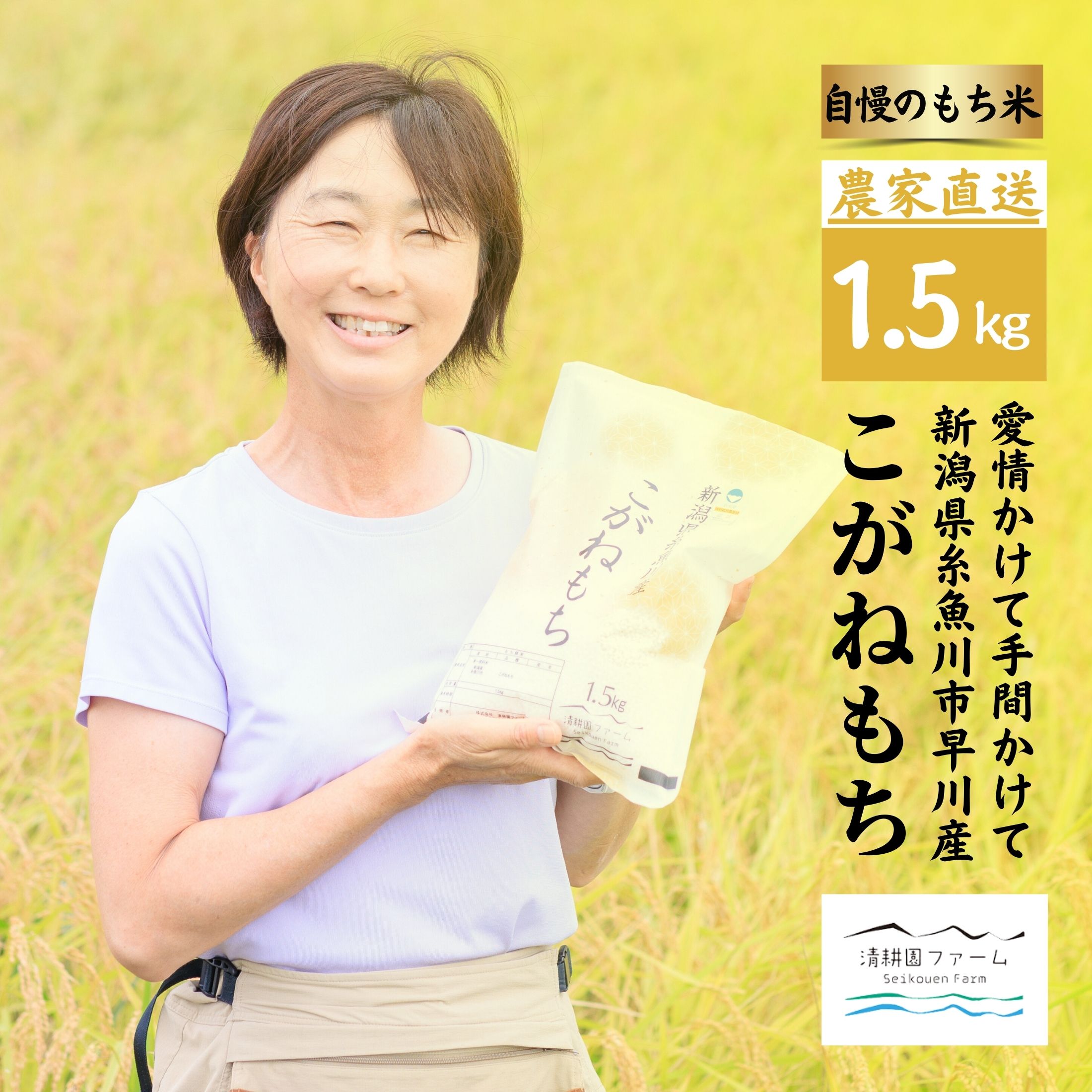 【ふるさと納税】新米 もち米新潟県 糸魚川産 『こがねもち』1.5kg（1升） 令和7年産 つやつや ふっくら モチモチ もち米ならではの芳醇な香り 清耕園ファーム お正月 餅 赤飯 おこわ 美味しい 糸魚川 新潟米 農家自慢 2025年
