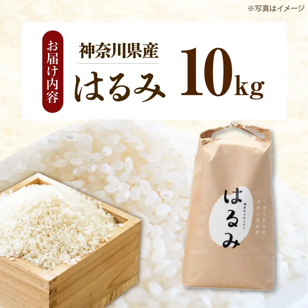 【先行予約】【遠藤ファーム】 はるみ 新米 新米 10kg 令和8年産 [BDAF002]