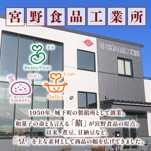 羊羹  2本入【羊羹】本格 羊羹   J91