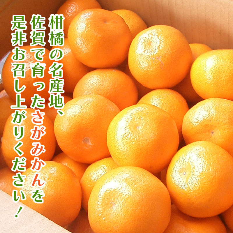 佐賀産さがみかん 約5kg箱 (伊万里市) 柑橘類 147-B800