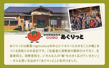 【角田市産秘伝豆使用】高蔵寺大福（ずんだ）5個セット【あぐりっと】