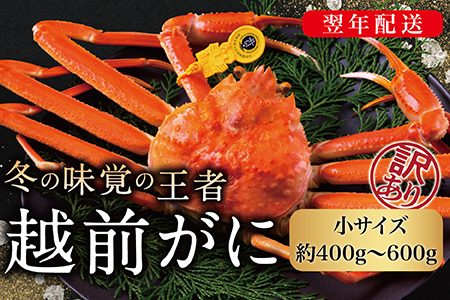 【2026年発送】越前がに（オス）「ずわいがに」（400g～600g） 訳あり 1杯