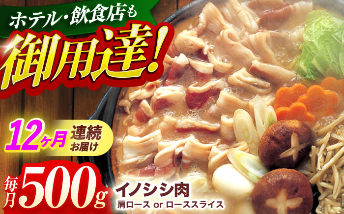 【12回定期便】ジビエ 天然 猪肉 肩ロース ＆ ロース スライス500g【照本食肉加工所】[OAJ044] / 猪肉 いのしし ぼたん鍋 しし鍋 猪肉