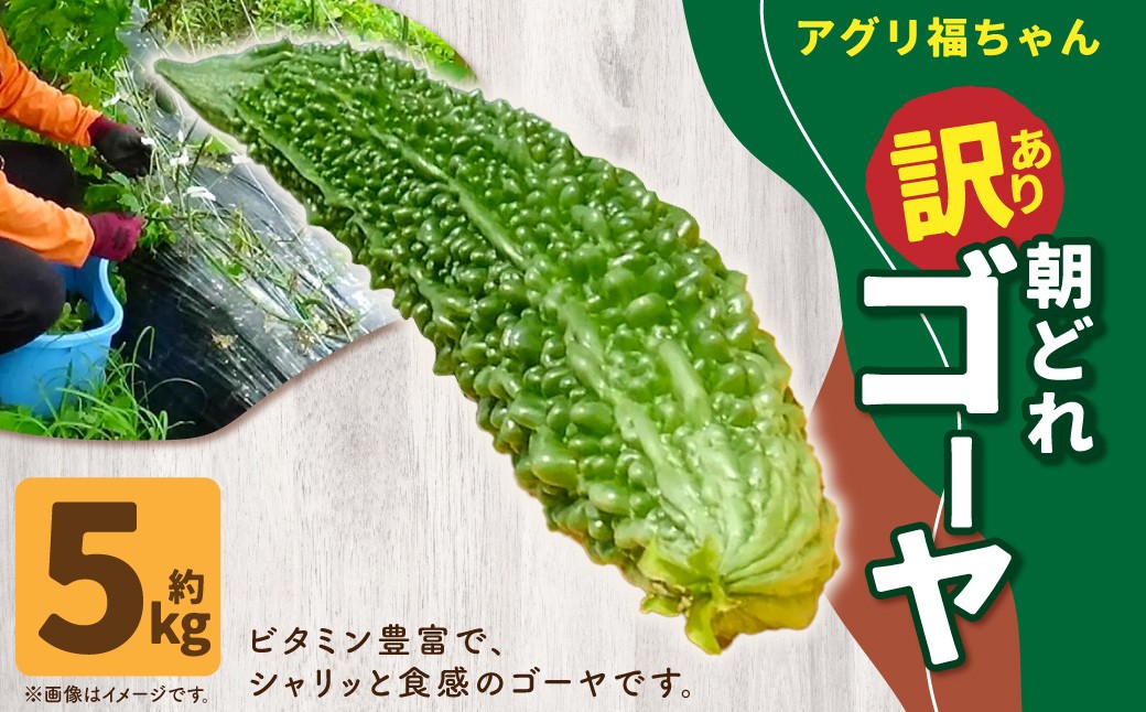 
            【鹿児島県産】【訳あり】 ゴーヤ 5kg ゴーヤー 朝どれ 夏野菜 【2025年7月上旬から9月下旬発送予定】 ZS-788
          