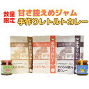 【ふるさと納税】【数量限定】甘さ控えめジャムと人気のレトルトカレー食べ比べ3種の詰め合わせ＜125-004_5＞