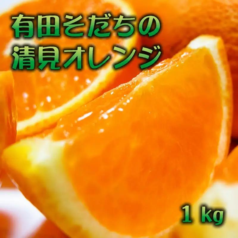 有田育ちの完熟清見オレンジ(ご家庭用)　1kg+200g(補償分)【2027年2月下旬～5月上旬頃に順次発送予定】【ard241】
