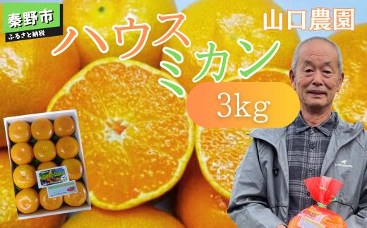 先行予約！７月以降順次発送 甘いハウスみかん（3㎏) 山口農園 神奈川県 秦野市 ハウス みかん 蜜柑 甘い おいしい 旬 ビタミンC 濃厚 化粧箱 ご贈答 贈り物 プレゼント
