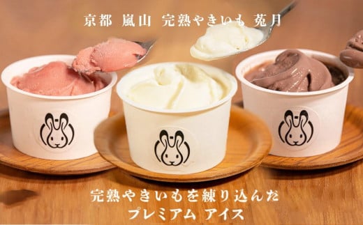 【嵐山完熟やきいも菟月】完熟やきいもプレミアムアイス10個セット