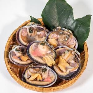 秀品 天然 大あさり XXLサイズ 5～7切入 (約1kg) 冷凍 下処理済 希少 だし醤油付 セット 三河湾産 砂抜き 大アサリ 貝 貝類