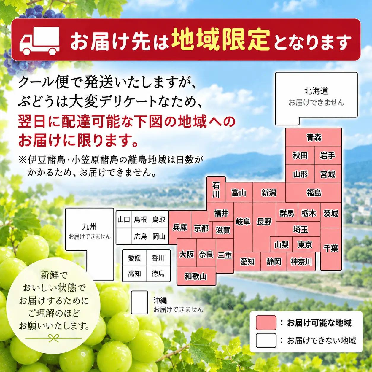 シャイン マスカット ぶどう   人気 果物 冷蔵 　3kg   大粒 高級 数量限定 期間限定 秋 旬