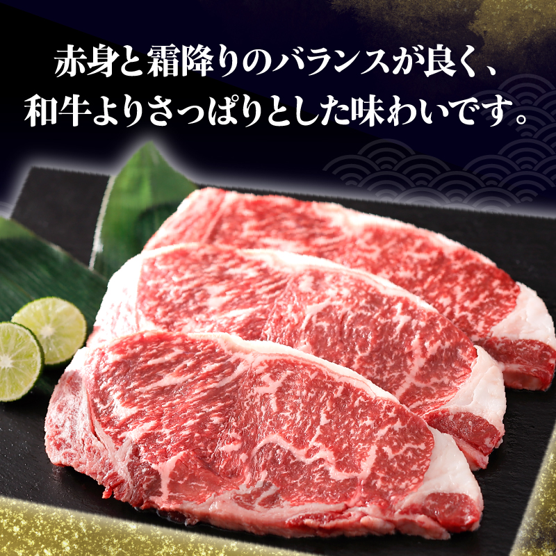 北海道浜中黒牛サーロインステーキ3枚(約510g)_190403