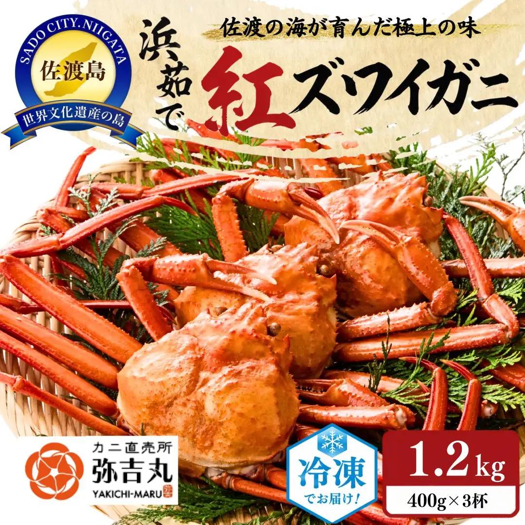 紅ズワイガニ 冷凍 浜茹で 約1.2キロ 400g 3杯| 新潟県 佐渡市