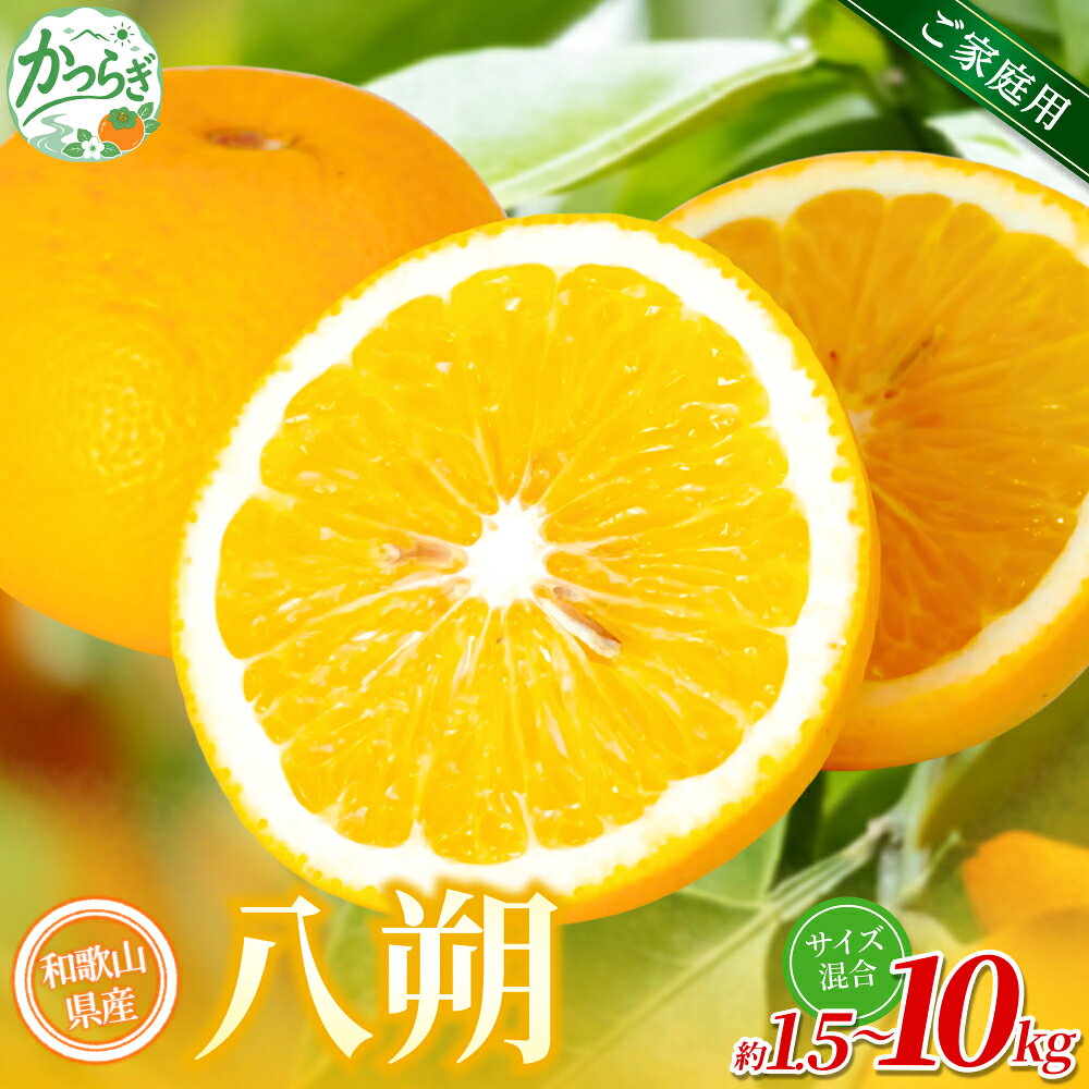 【ふるさと納税】【家庭用】 森本農園の手選別 八朔 約1.5kg 4.5kg 6kg 10kg 和歌山県産 サイズ混合 【北海道・沖縄・離島配送不可】【2027年1月中旬～4月中旬頃に順次発送】 はっさく