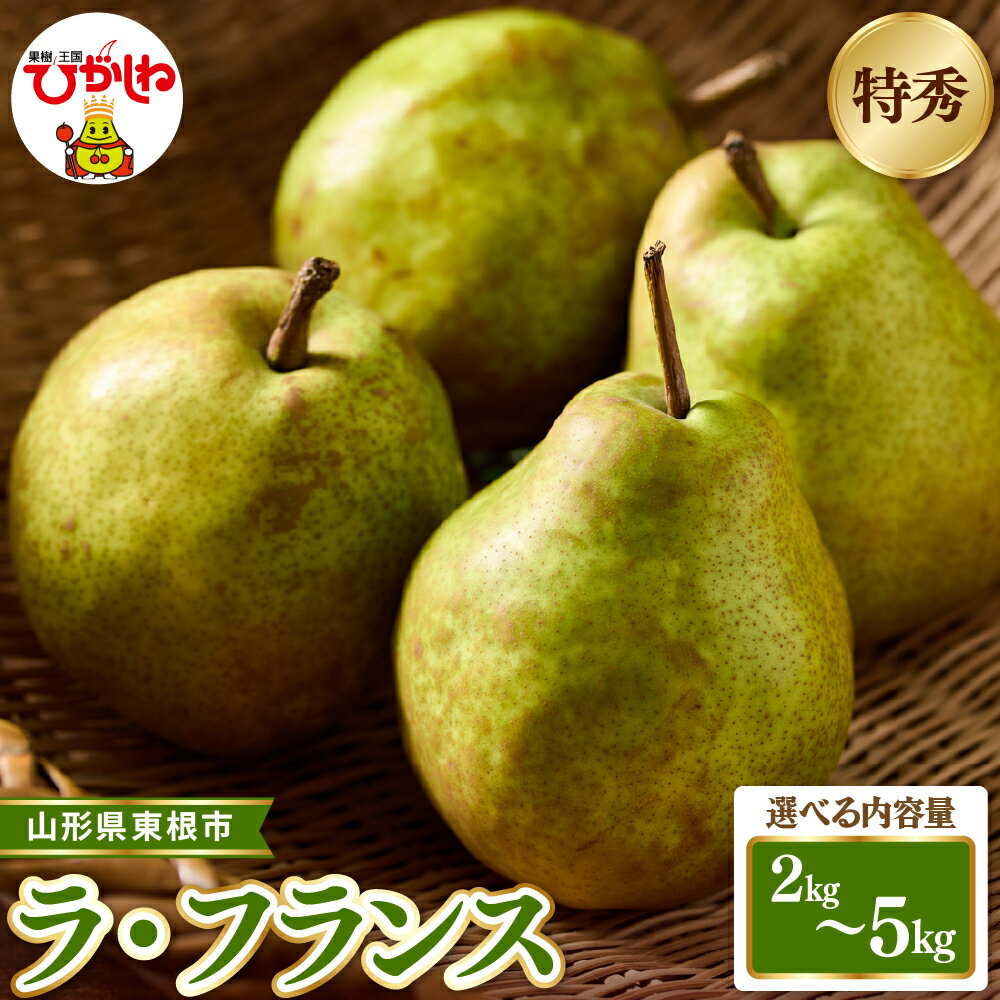 【ふるさと納税】2026年産 先行受付 ラ・フランス 特秀品 ( 玉数おまかせ )( 選べる: 約2kg / 約3kg / 約5kg )| 西洋梨 洋梨 ラフランス フルーツ 果物 くだもの 産地直送 期間限定 特産品 お取り寄せ グルメ 旬 東北 送料無料 山形県 東根市