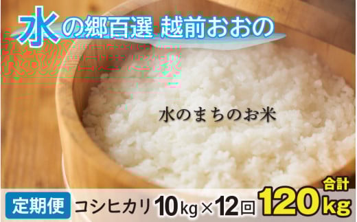 【令和7年産】【12ヶ月定期便】こしひかり 10kg×12回 計120kg【白米】「エコファーマー米」水のまちのお米