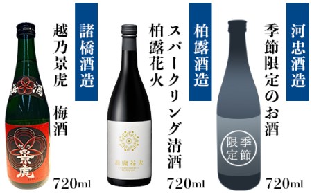 A0-34Aえちご長岡地酒まんきつ10本＋仕込み水4本セット