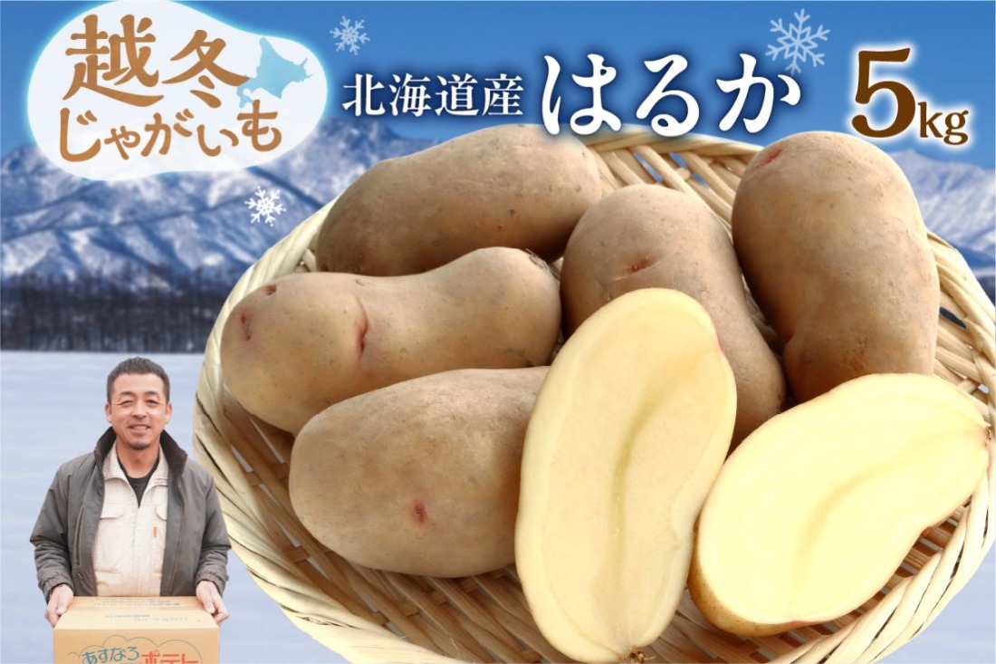 ホクホク あま～い！ 低温貯蔵！北海道産 越冬じゃがいも はるか 約5kg_S041-0001