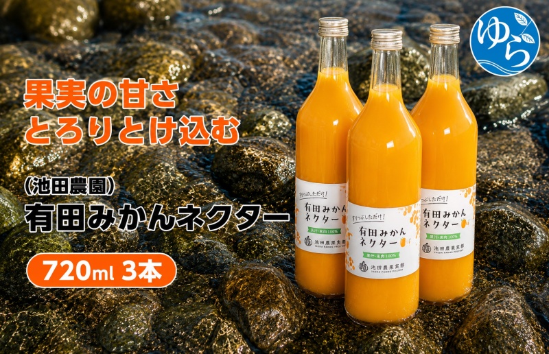 みかん ネクター 100％ ジュース / 温州みかん 有田みかん 果汁 無添加 柑橘 和歌山 11000円 720ml ※北海道・沖縄・離島への配送不可 //drink 【ikd100-to720-3