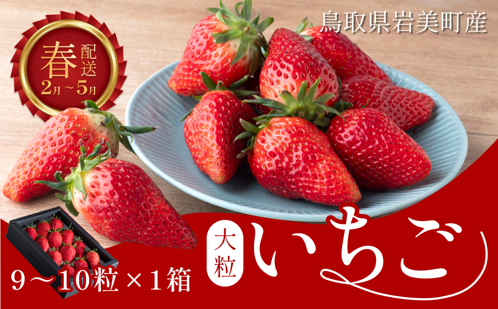 【42002】米村農園「大粒いちご」Ｂ