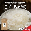 【ふるさと納税】万田酵素で育てた健康米 福井県産こしひかり5kg 精米（令和6年産） 精米 米 お米 コメ 送料無料 [A-150002]