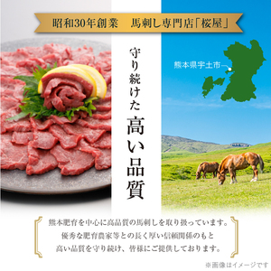 桜屋 上赤身 500g 専用醤油1本_U01-1329