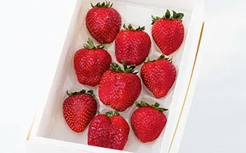 先行予約【2025年12月中旬より順次発送】大網白里市発祥のイチゴ「真紅の美鈴」9粒 M006