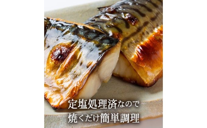 塩さば切り身 約80g×8切れ 真空パック入 魚貝類 加工食品 冷凍 焼くだけ 簡単調理 朝食 朝ごはん お弁当 夕飯 おかず つまみ お酒のあて 鯖の切り身 