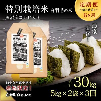 ふるさと納税 十日町市 【毎月定期便】農家直送!魚沼産コシヒカリ特別栽培 精米(5kg×2袋)全3回